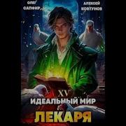 Аудиокнига Идеальный Мир Для Лекаря 16