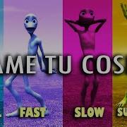 Dami Toko Sita Reverse Slow Fast Very Fast