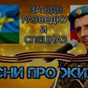 Песни Про Жизнь Двадцать Пять Лет В Вдв Виктор Страхов