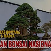 Bintang Kelas