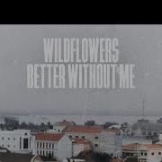 Wildflowers Feat Christine Smit If You Go