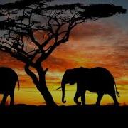 African Night 2 Hours Beautiful Background Music