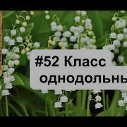 Биология 6 Класс 52 Параграф