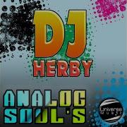 Dj Herby Analog World