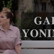 Gal Yonima