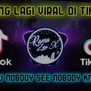 Dj Tiktok No Body Si