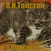 Толстой Котенок