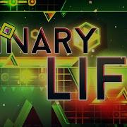 Binary Life Gd