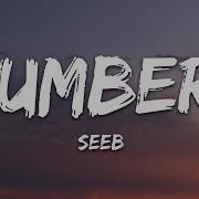 Seeb Numbers