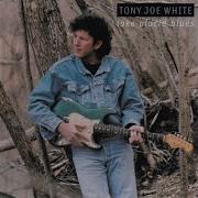 Tony Joe White The Guitar Don T Lie