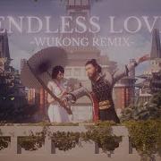 Endless Love Remix