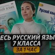 Русский Язык 7 Класс Все Темы