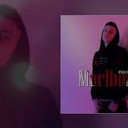 Marlboro Intellegent