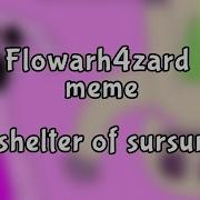 Flowarh4Zard Meme Shelter Of Sursur