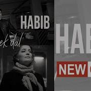 Habib Ft Bahar Gerek Dal