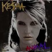 Kesha Blah Blah Blah Instrumental Slowed