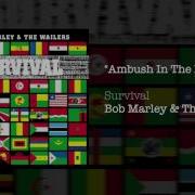 Ambush In The Night Bob Marley The Wailers