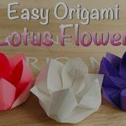 Origami Paper Flower Making