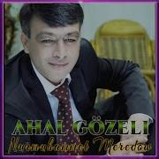 Nury Meredow Ahal Gozeli