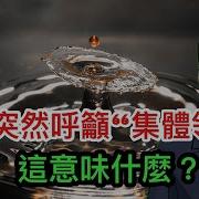 Lt视界最新 2024 12 16