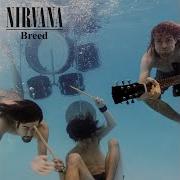 Nirvana Breed Трек Для Гитары