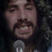 Cat Stevens Bitterblue