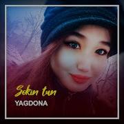 Yagdona Sokin Tun Minus