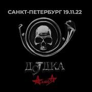 Кибитка Live 12 11 22 Алиса