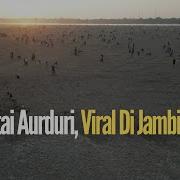 Viral Di Jambi 2024