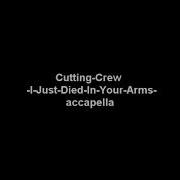 I Just Died In Your Arms Acapella