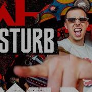 D Sturb Defqon 1