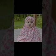 Baby Moy Hijab