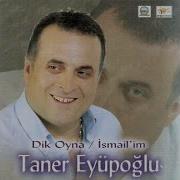 Dj Cover Taner Eyüboğlu Oyna Di K Oyna