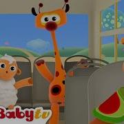 Babytv The Wheels On The Bus