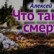 О Смерти Что Такое Смерть Жизнь После Смерти Бессмертие Души