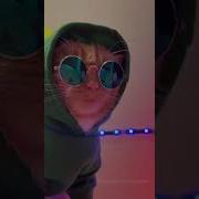 Tik Tok Meow Remix