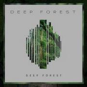 Deep Forest Remix