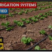 Irrigation Farming