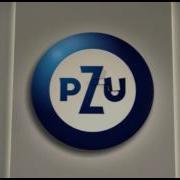 Pzu Logo