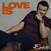 Силуэт Emin