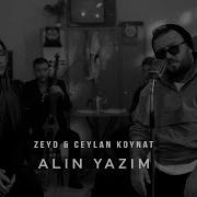 Alin Yazim