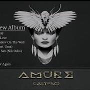 Amure Calypso