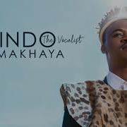 Mlindo The Vocalist New Song 2022