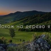 Похож На Дерево Я Минус