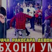 Субхони Умар 2019 Туёна Ракоса Тов Мета