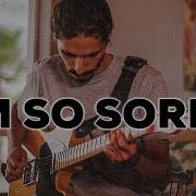 Imagine Dragons I M So Sorry Guitar Cover