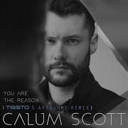 Calum Scott You Are The Reason Tiesto Remix