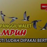 Sp Walet Ampuh