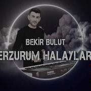 Bekir Bulut