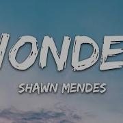 Wonder Lyrics By Shown Mendez